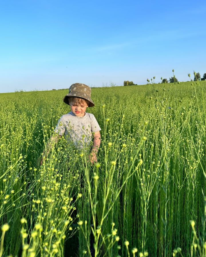 Line APH Dobronravov AGRO